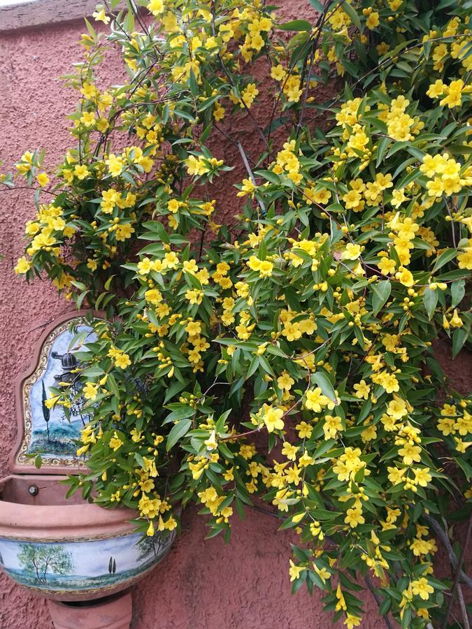 Giusy Bed And Breakfast Marina Di Carrara Exteriör bild