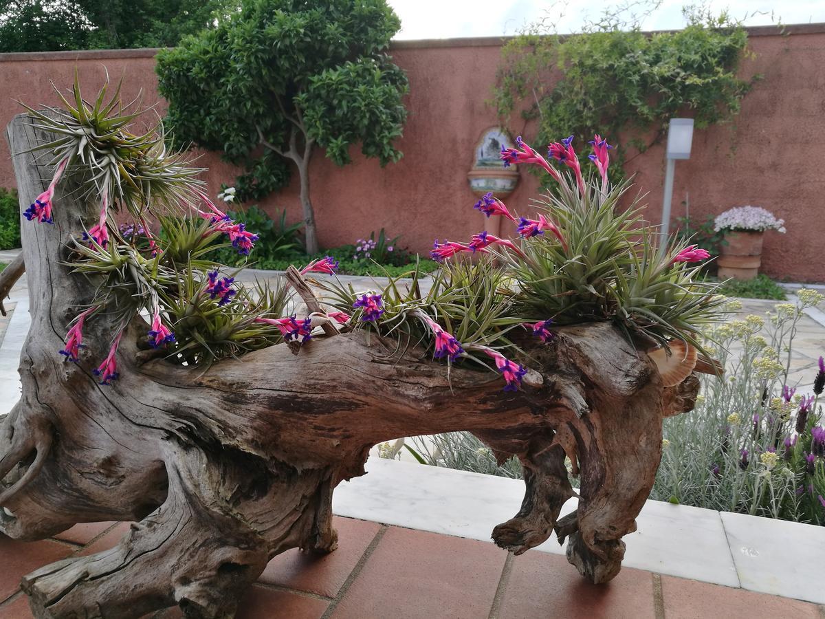 Giusy Bed And Breakfast Marina Di Carrara Exteriör bild