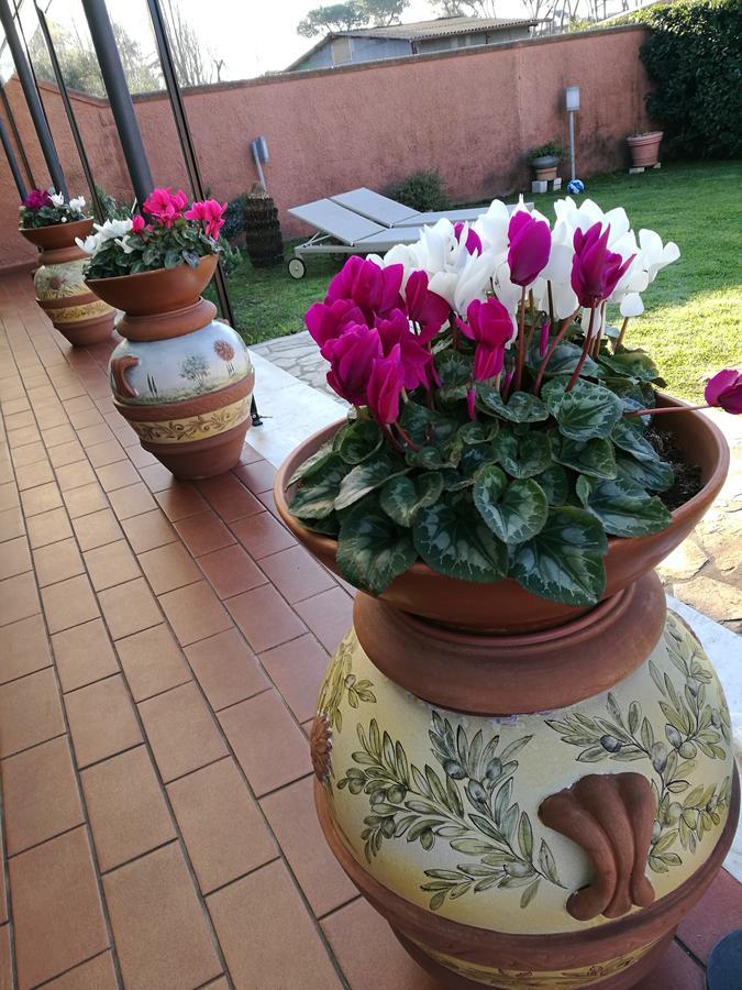 Giusy Bed And Breakfast Marina Di Carrara Exteriör bild